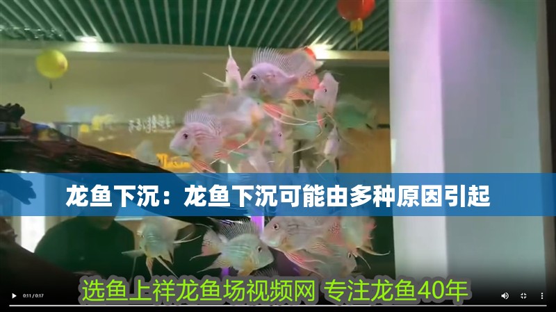 龍魚下沉：龍魚下沉可能由多種原因引起