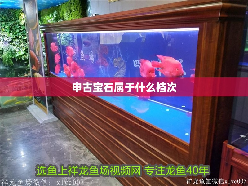 申古寶石屬于什么檔次