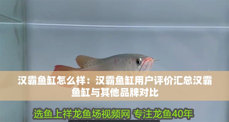 漢霸魚缸怎么樣：漢霸魚缸用戶評價匯總漢霸魚缸與其他品牌對比