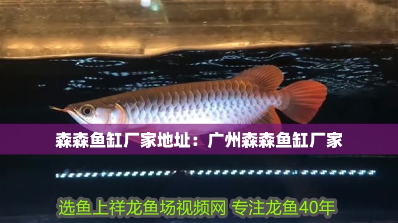 詳細閱讀:森森魚缸廠家地址:廣州森森魚缸廠家 森森魚缸廠家地址:廣州森森魚缸廠家