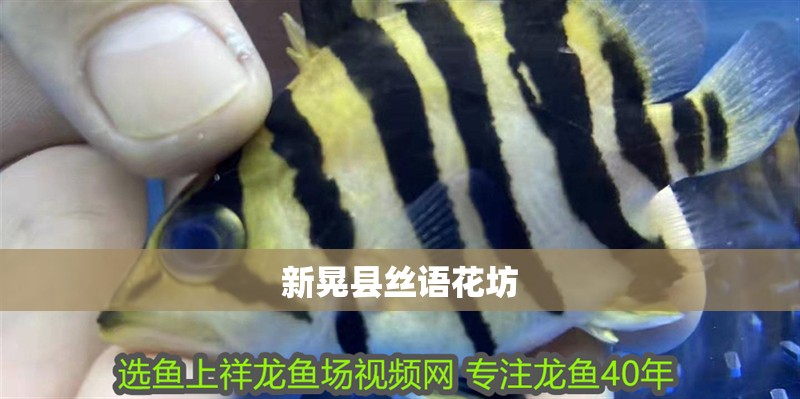 <strong><mark>新晃</mark></strong>縣絲語花坊