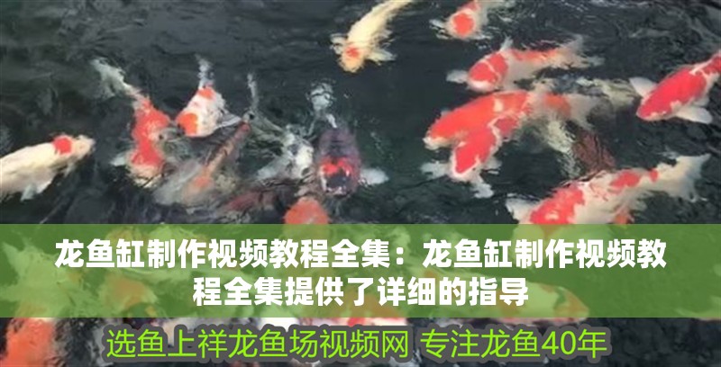 龍魚缸制作視頻教程全集：龍魚缸制作視頻教程全集提供了詳細的指導