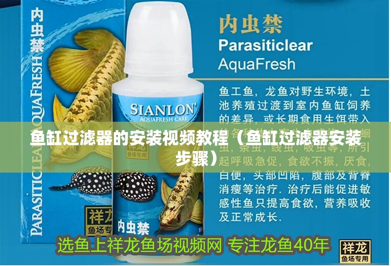 魚缸過濾器的安裝視頻教程（魚缸過濾器安裝步驟）