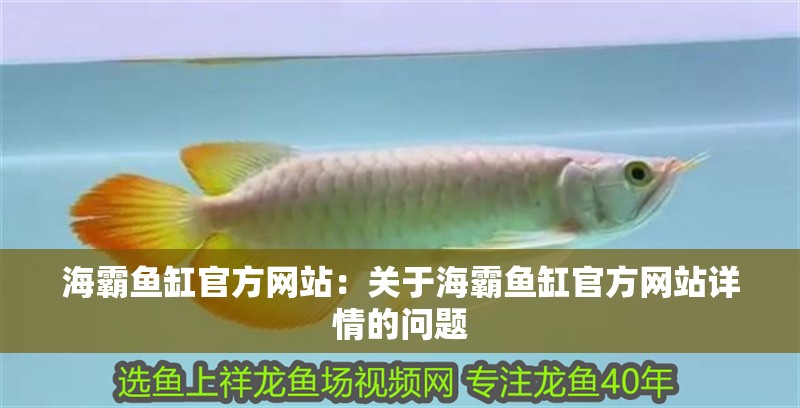 海霸魚缸官方網(wǎng)站：關(guān)于海霸魚缸官方網(wǎng)站詳情的問題
