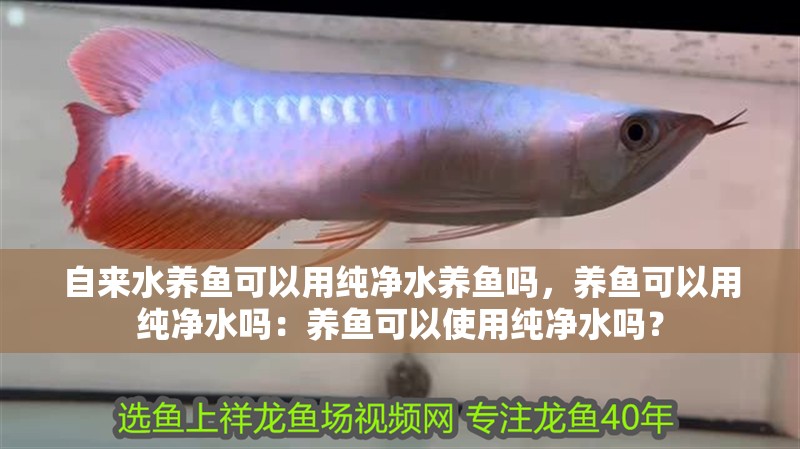 自來水養(yǎng)魚可以用純凈水養(yǎng)魚嗎，養(yǎng)魚可以用純凈水嗎：養(yǎng)魚可以使用純凈水嗎？
