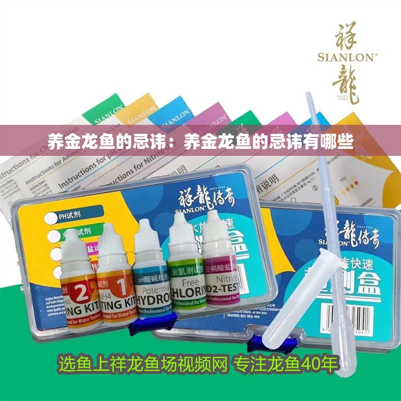 養金龍魚的忌諱：養金龍魚的忌諱有哪些