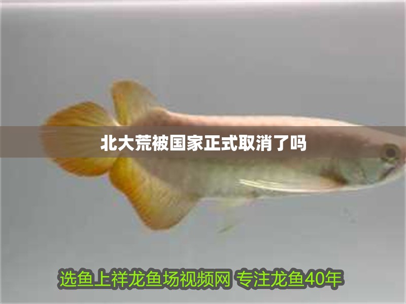 北大荒被國家正式取消了嗎