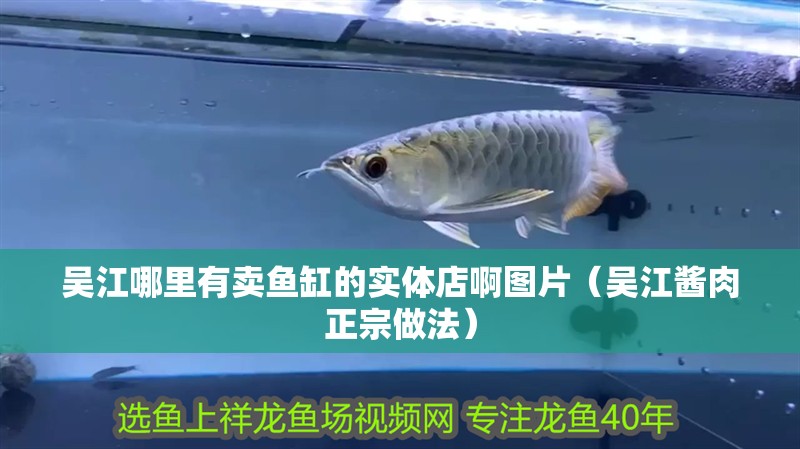 吳江哪里有賣魚缸的實體店啊圖片（吳江醬肉正宗做法）