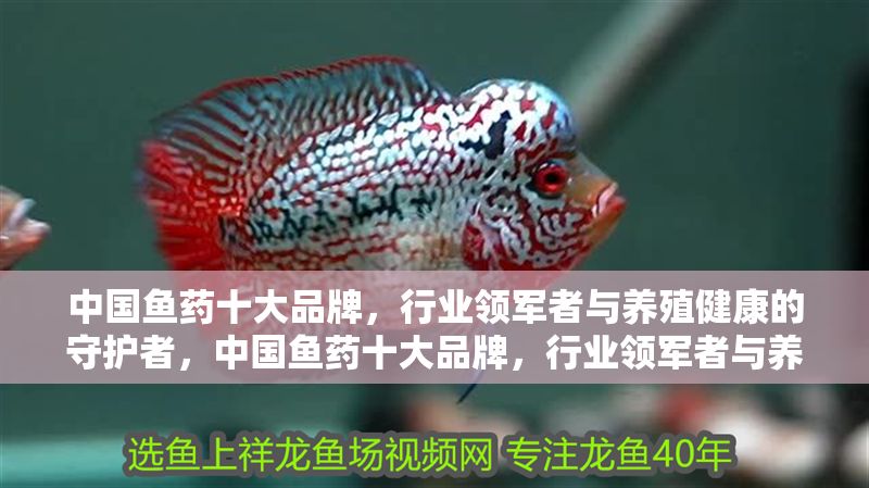 中國魚藥十大品牌，行業(yè)領(lǐng)軍者與養(yǎng)殖健康的守護(hù)者，中國魚藥十大品牌，行業(yè)領(lǐng)軍者與養(yǎng)殖健康的守護(hù)者