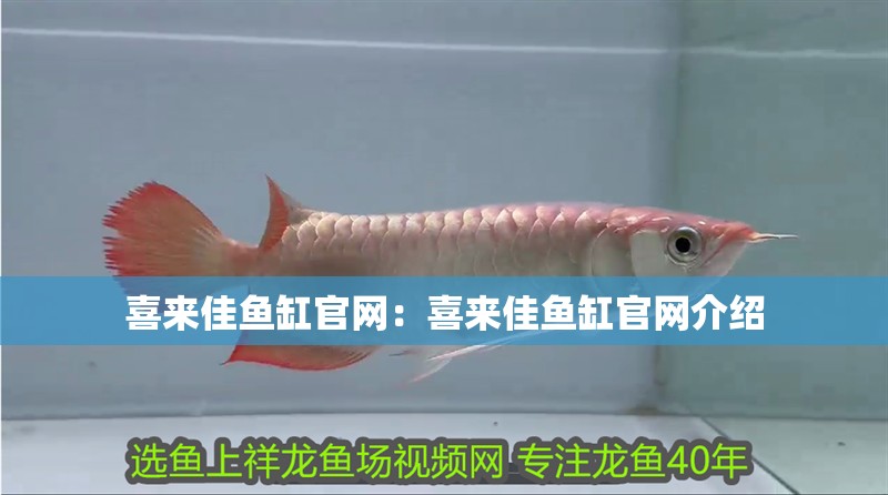 喜來(lái)佳魚(yú)缸官網(wǎng)：喜來(lái)佳魚(yú)缸官網(wǎng)介紹