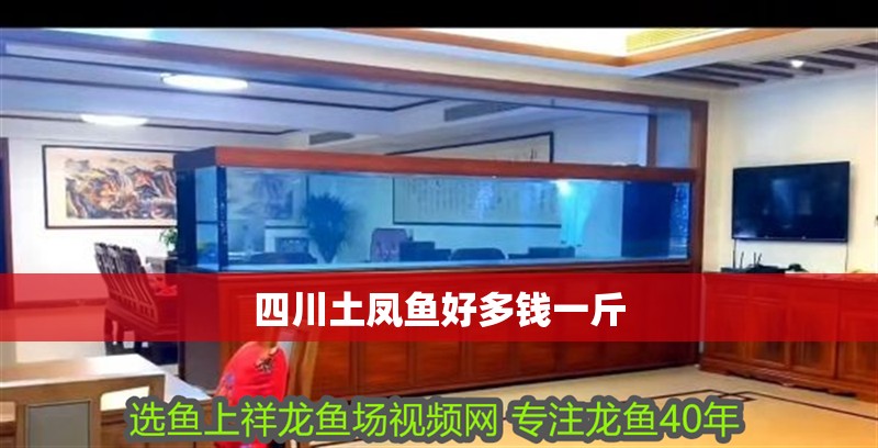 四川土鳳魚好多錢一斤