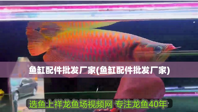 魚缸配件批發(fā)廠家(魚缸配件批發(fā)廠家)