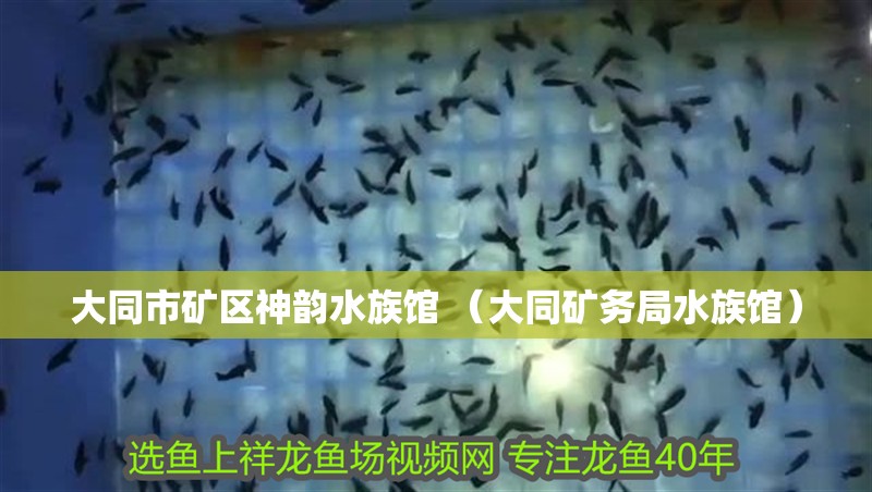 大同市礦區神韻水族館 （大同礦務局水族館）