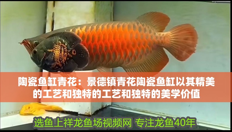 陶瓷魚缸青花：景德鎮青花陶瓷魚缸以其精美的工藝和獨特的工藝和獨特的美學價值