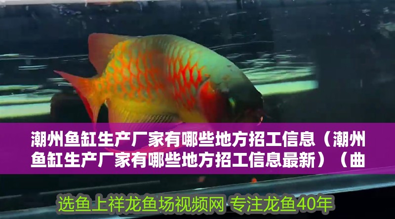 <strong><mark>潮州</mark></strong>魚缸生產廠家有哪些地方招工信息（<strong><mark>潮州</mark></strong>魚缸生產廠家有哪些地方招工信息最新）（曲陽縣魚缸生產廠家有哪些？）