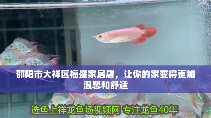 邵陽市大祥區福盛家居店，讓你的家變得更加溫馨和舒適