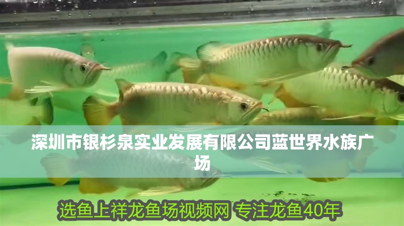 深圳市銀杉泉實(shí)業(yè)發(fā)展有限公司藍(lán)世界水族廣場(chǎng)