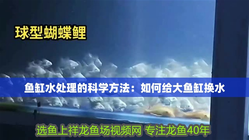 魚缸過濾器選購指南:自制魚缸過濾器魚缸上置過濾器對于養魚愛好者的必備知識 魚缸水處理的科學方法:如何給大魚缸換水 魚缸百科 魚缸水處理的科學方法:如何給大魚缸換水 魚缸水處理的科學方法:如何給大魚缸換水 魚缸百科