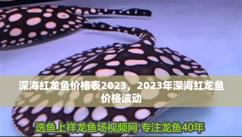 深海紅龍魚價格表2023，2023年深海紅龍魚價格波動