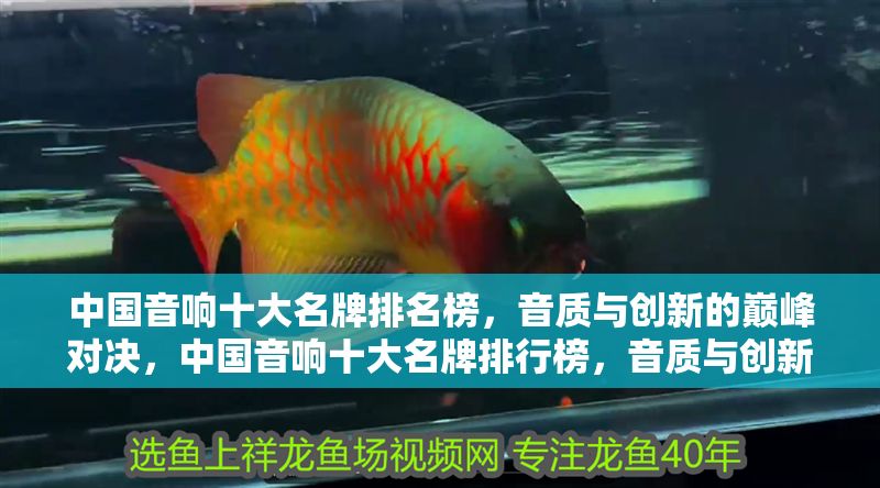 中國音響十大名牌排名榜，音質與創新的巔峰對決，中國音響十大名牌排行榜，音質與創新的巔峰對決