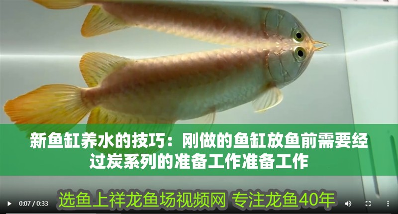 新魚缸養(yǎng)水的技巧：剛做的魚缸放魚前需要經(jīng)過炭系列的準備工作準備工作