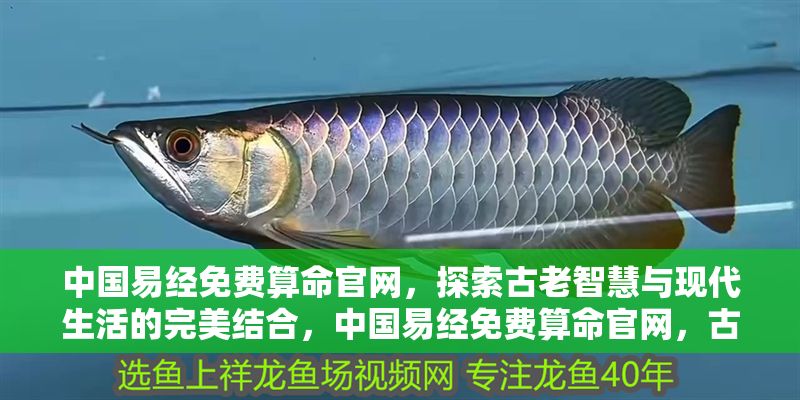 中國易經免費算命官網，探索古老智慧與現代生活的完美結合，中國易經免費算命官網，古老智慧與現代生活的融合之道