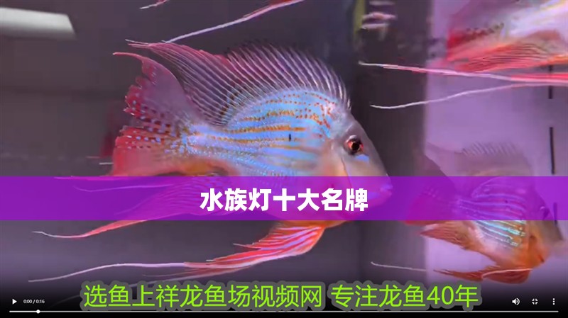 水族燈十大名牌