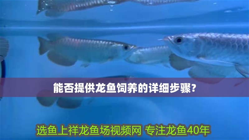 能否提供龍魚飼養的詳細步驟？ 能否提供龍魚飼養的詳細步驟？ 龍魚論壇