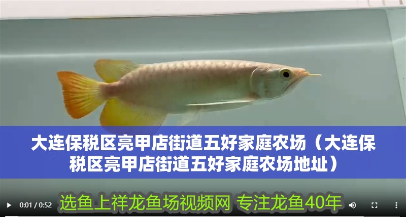 大連保稅區亮甲店街道五好家庭農場（大連保稅區亮甲店街道五好家庭農場地址）