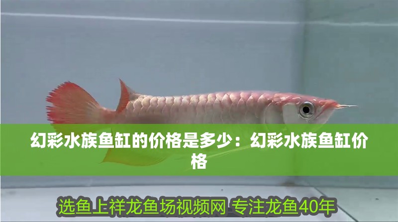 幻彩水族魚缸的價(jià)格是多少：幻彩水族魚缸價(jià)格