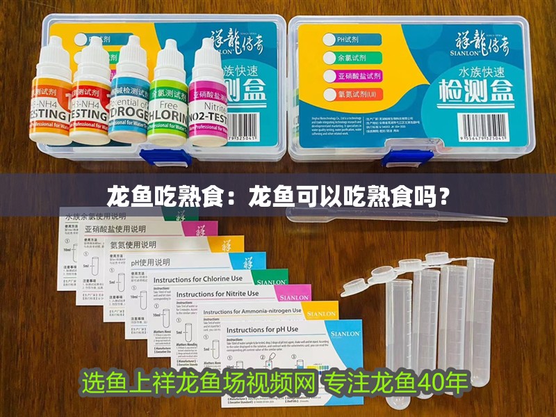 龍魚吃熟食：龍魚可以吃熟食嗎？