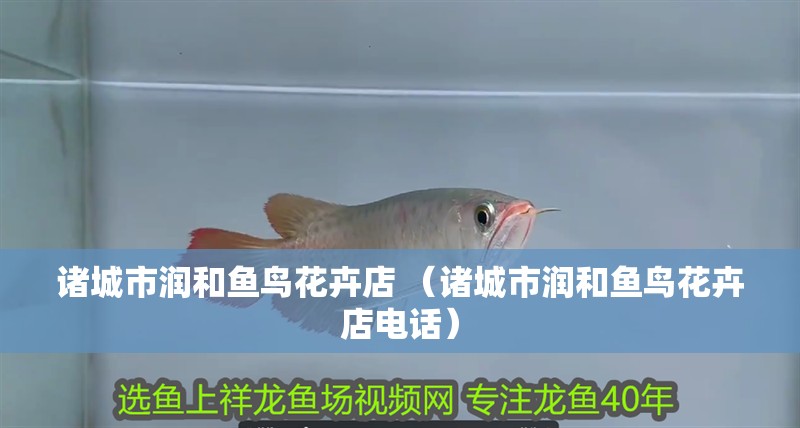 諸城市潤和魚鳥花卉店 （諸城市潤和魚鳥花卉店電話）