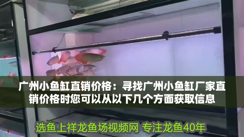 廣州小魚缸直銷價格：尋找廣州小魚缸廠家直銷價格時您可以從以下幾個方面獲取信息