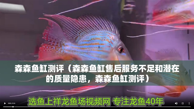 森森魚缸測評（森森魚缸售后服務不足和潛在的質量隱患，森森魚缸測評）