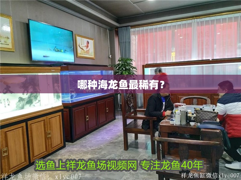 哪種海龍魚最稀有？