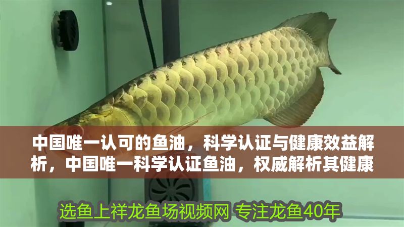 中國唯一認可的魚油,科學認證與健康效益解析,中國唯一科學認證魚油,權威解析其健康功效與選擇標準 龍魚百科 第1張 中國唯一認可的魚油,科學認證與健康效益解析,中國唯一科學認證魚油,權威解析其健康功效與選擇標準 中國唯一認可的魚油,科學認證與健康效益解析,中國唯一科學認證魚油,權威解析其健康功效與選擇標準 龍魚百科 第1張