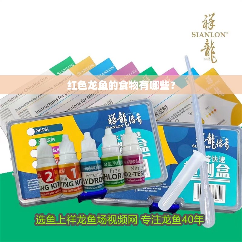 紅色龍魚的食物有哪些？