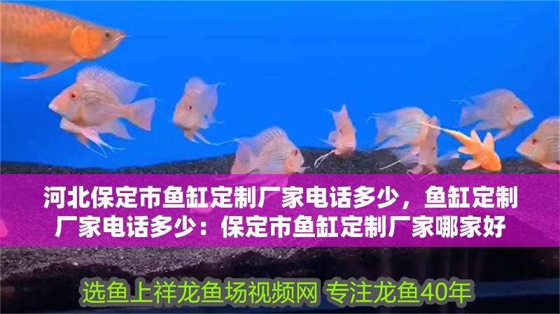 河北<strong><mark>保定</mark></strong>市魚缸定制廠家電話多少，魚缸定制廠家電話多少：<strong><mark>保定</mark></strong>市魚缸定制廠家哪家好