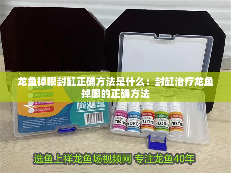 龍魚(yú)掉眼封缸正確方法是什么：封缸治療龍魚(yú)掉眼的正確方法