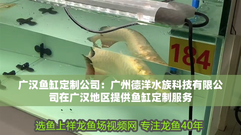 廣漢魚缸定制公司：廣州德洋水族科技有限公司在廣漢地區提供魚缸定制服務