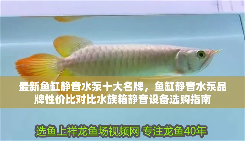 最新魚缸靜音水泵十大名牌，魚缸靜音水泵品牌性價比對比水族箱靜音設備選購指南