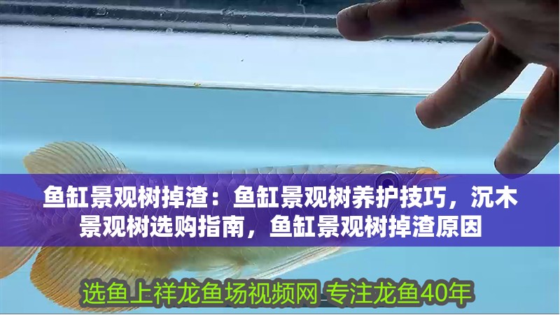 魚缸景觀樹掉渣：魚缸景觀樹養(yǎng)護技巧，沉木景觀樹選購指南，魚缸景觀樹掉渣原因