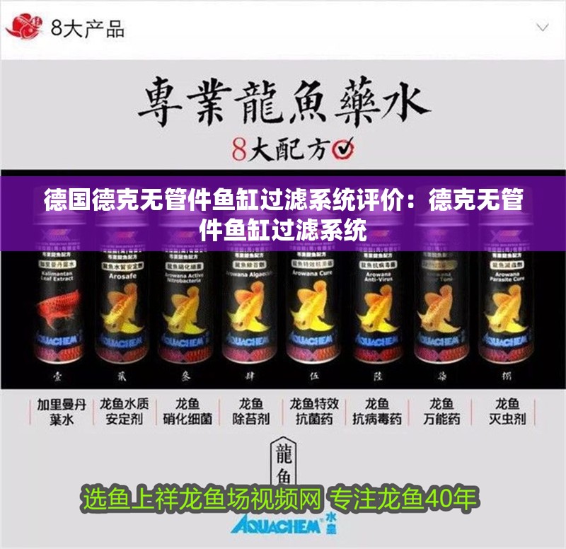 德國德克無管件魚缸過濾系統評價：德克無管件魚缸過濾系統