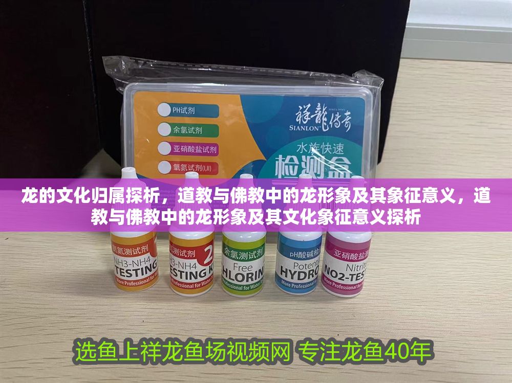 龍的文化歸屬探析，道教與佛教中的龍形象及其象征意義，道教與佛教中的龍形象及其文化象征意義探析
