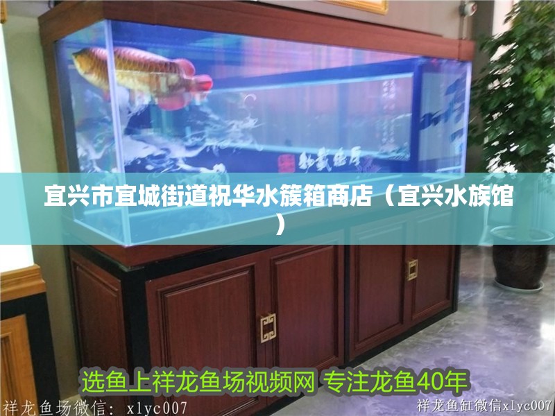 宜興市宜城街道祝華水簇箱商店（宜興水族館）