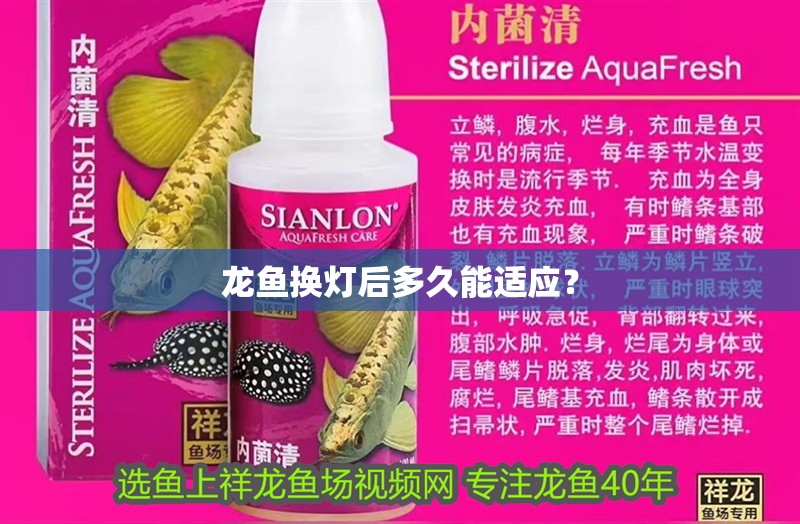 龍魚換燈后多久能適應？