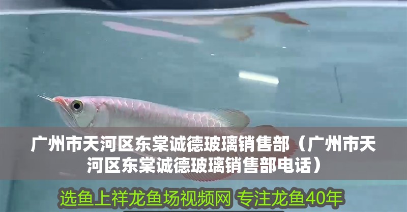 廣州市天河區東棠誠德玻璃銷售部（廣州市天河區東棠誠德玻璃銷售部電話）