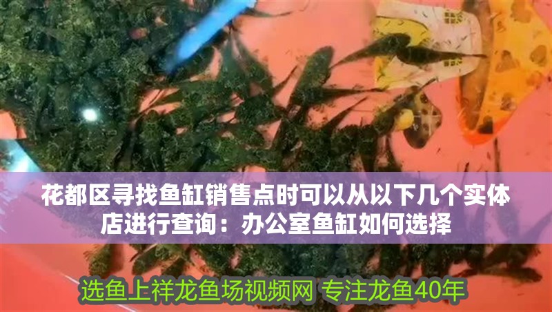 花都區(qū)尋找魚缸銷售點時可以從以下幾個實體店進行查詢：辦公室魚缸如何選擇