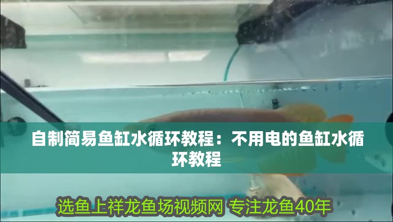 自制簡易魚缸水循環教程：不用電的魚缸水循環教程