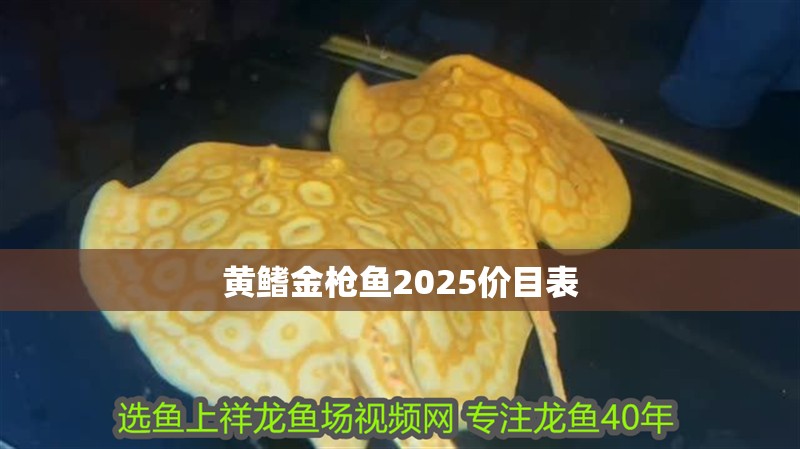 黃鰭金槍魚2025價目表